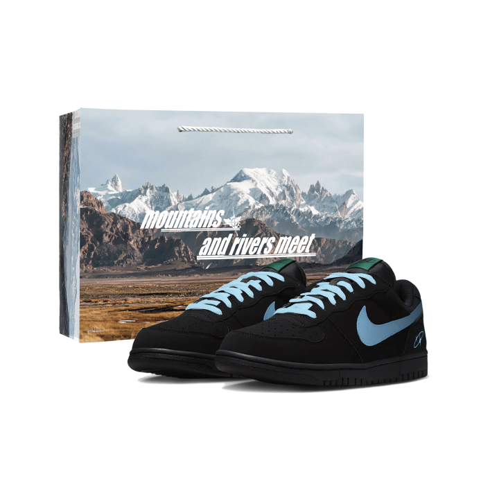 Nike Nike Big Low Lux Skateboard Shoes Men's Low Top Black Blue