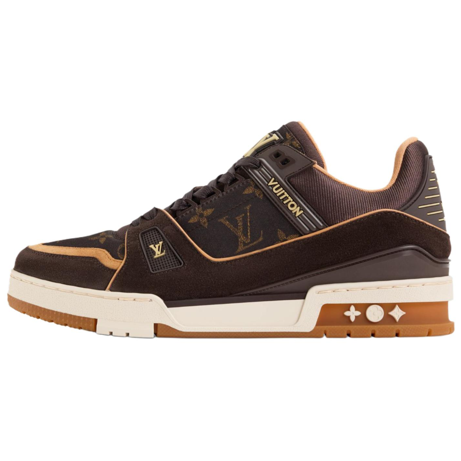 LOUIS VUITTON Trainer Skateboard Shoes Men's Low Top Brown
