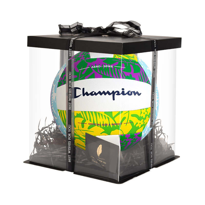 Champion Champion Volleyball