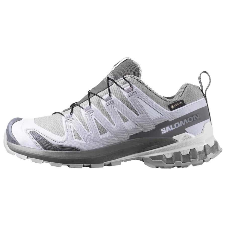 SALOMON XA Pro 3D V9 Mountaineering & Hiking Shoes Women's Low Top Gray