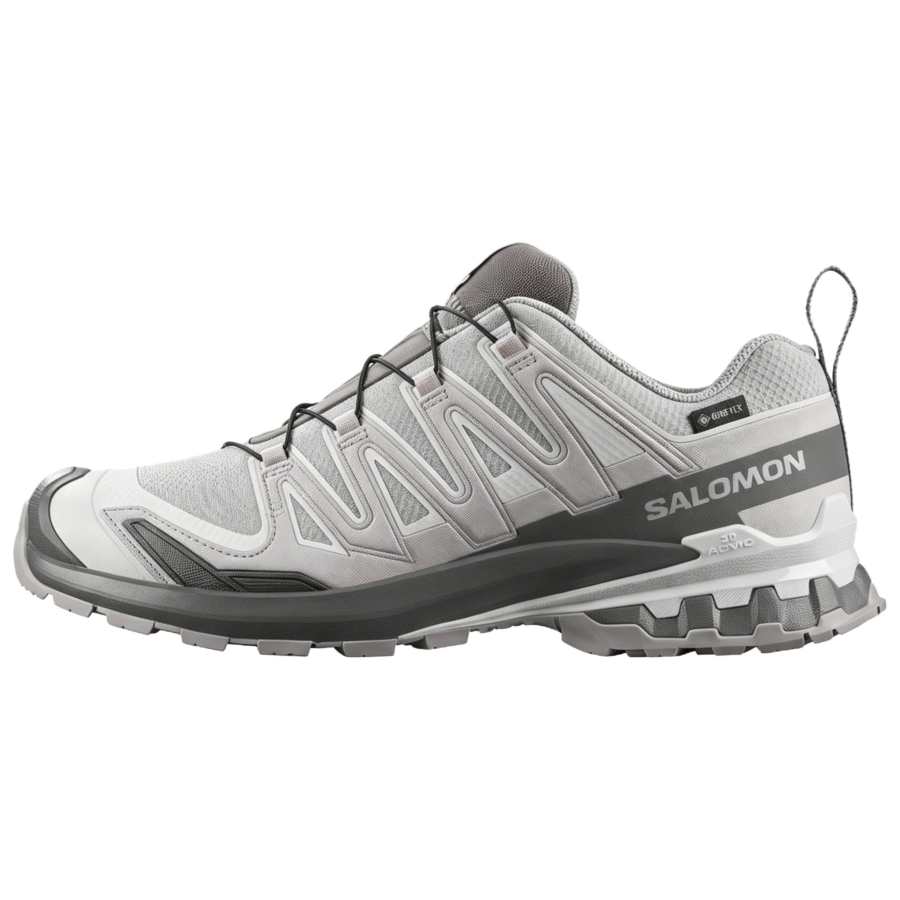 SALOMON XA Pro 3D V9 Mountaineering & Hiking Shoes Men's Alloy Gray/Castle Rock Gray/Lunar Rock Gray