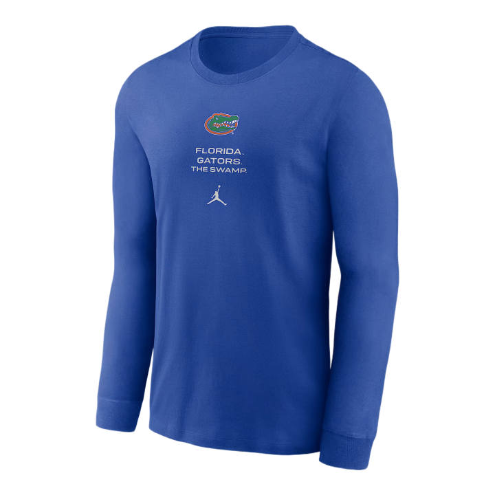 Jordan Jordan T Shirts Men's Royal Gaming Crew Neck Moderate