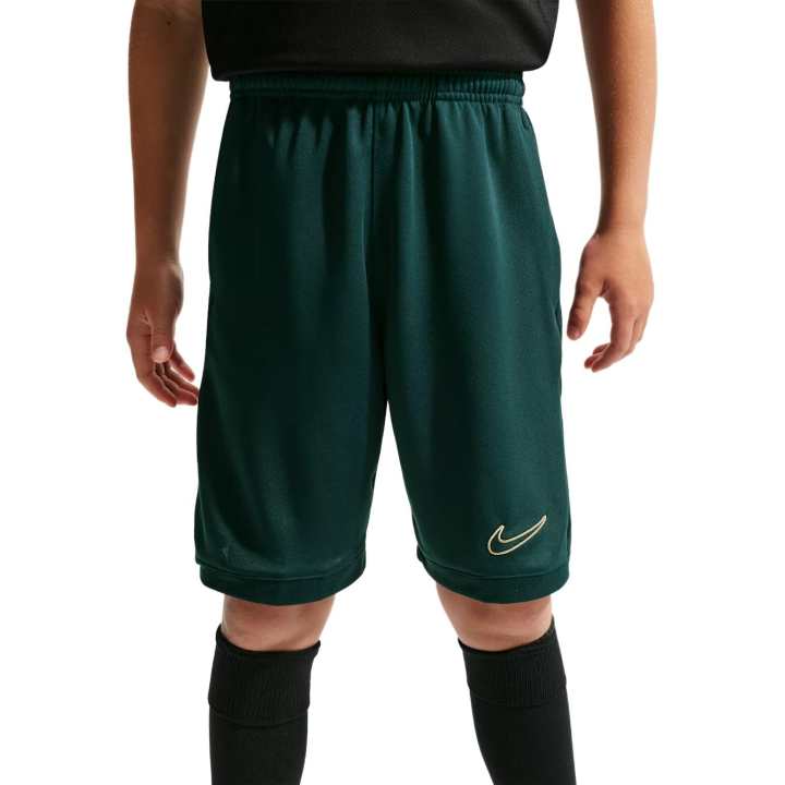 Nike Nike Kids Shorts Moderate