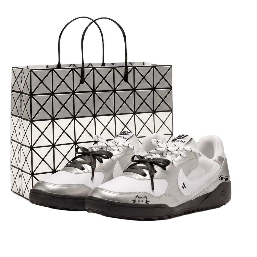 Nike Nike Terra Manta Casual Shoes Women's Low Top Silver