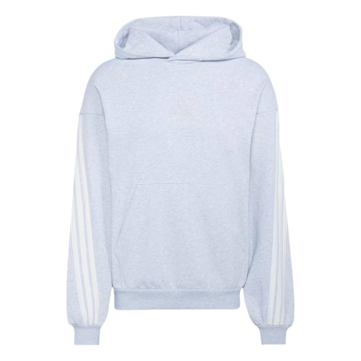 Adidas Adidas Sweatshirts Men's Light Gray/Ecru Hooded Non Detachable Moderate