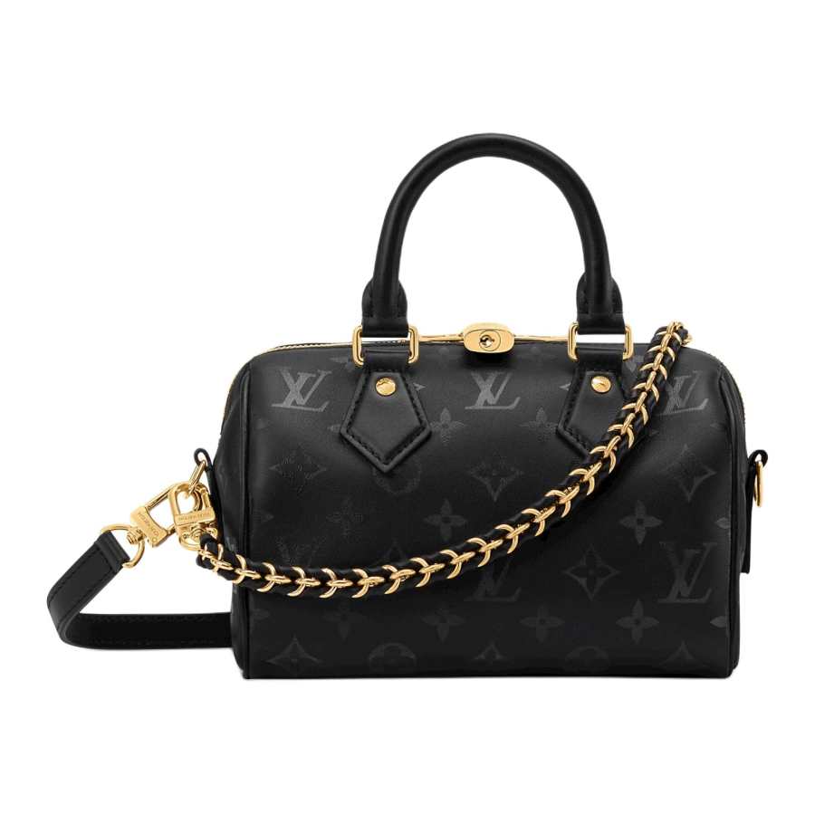 LOUIS VUITTON Speedy Handbags