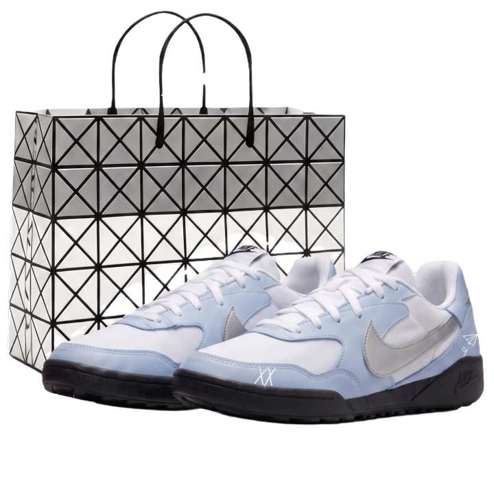 Nike Nike Terra Manta Casual Shoes Women's Low Top Blue