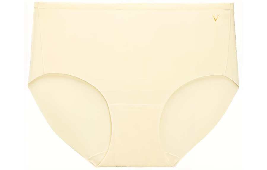 Victoria's Secret Briefs Women's 1 Pack Champagne