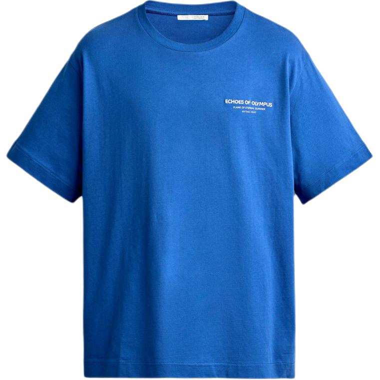 ZARA T Shirts Men's Blue Crew Neck Moderate Straight Fit