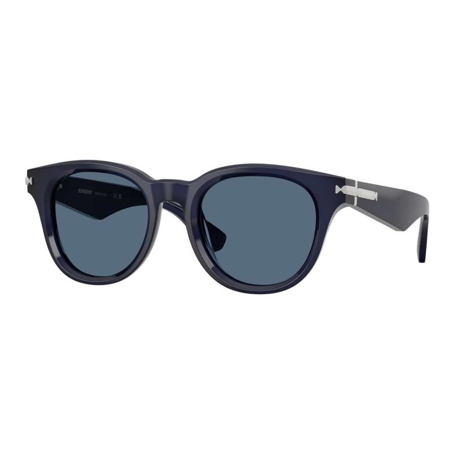 Burberry Burberry Sunglasses Men's