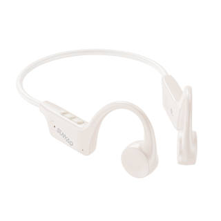 Lenovo Wireless Headphones