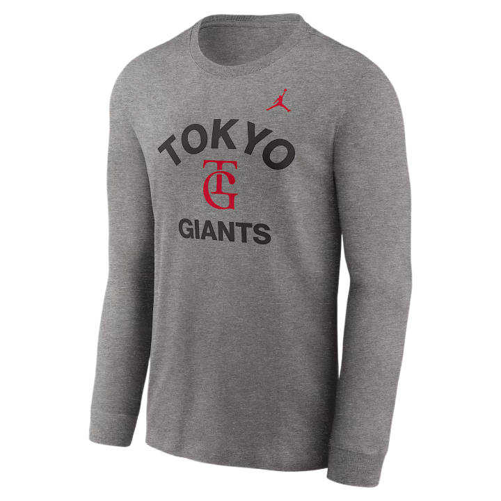Jordan Jordan T Shirts Men's Dark Gray Crew Neck Moderate