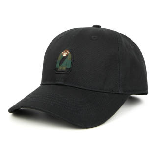 Aape Cotton Baseball Caps Unisex