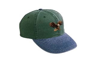 Travis Scott Baseball Caps Men's Green/Umber/Blue