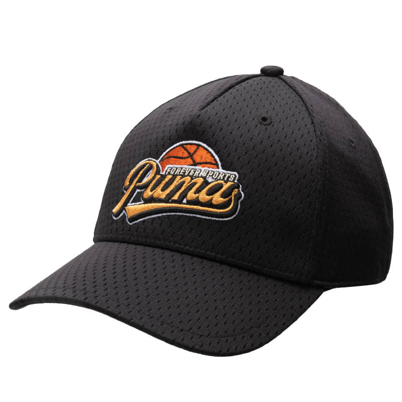 PUMA PUMA Hometown Heroes Curved Brim Cap