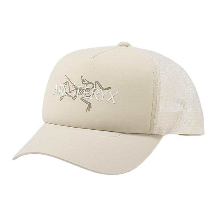Arcteryx Arc'teryx Polyester Baseball Caps Unisex Sea Salt Color/Arctic Silk Color