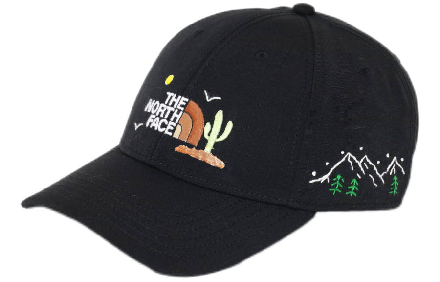 THE NORTH FACE Recycled 66 Classic Hat