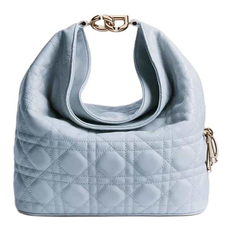 DIOR DIOR Toujours Handbags