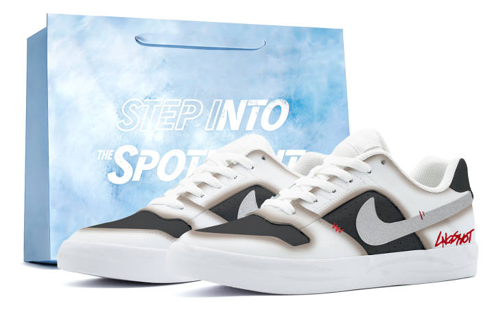 Nike Nike SB Delta Skateboard Shoes Men's Low Top White/Black/Brown