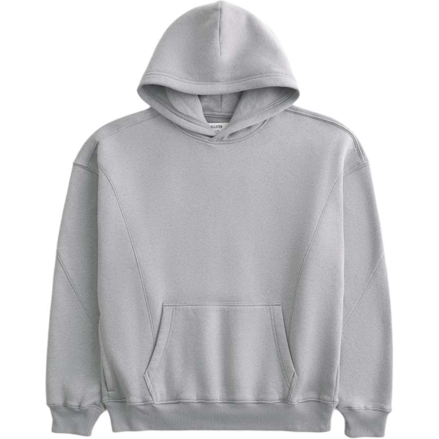 Hollister/ Sweatshirts Men's Gray Hooded Non Detachable Moderate