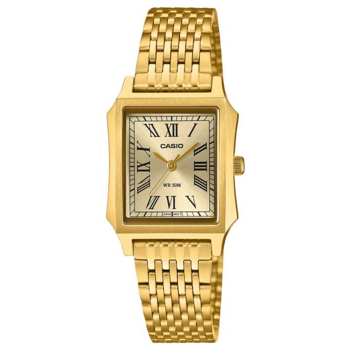 CASIO CASIO Women's Watch