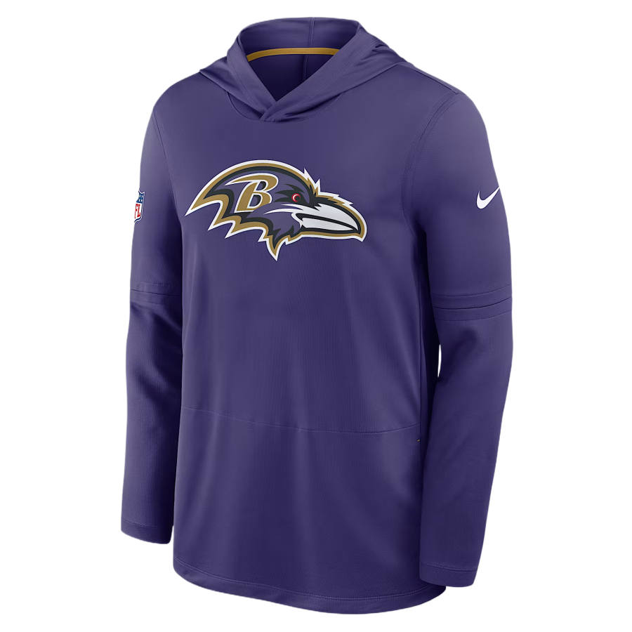 Nike Nike NFL Sweatshirts Men's Purple Hooded Non Detachable Moderate