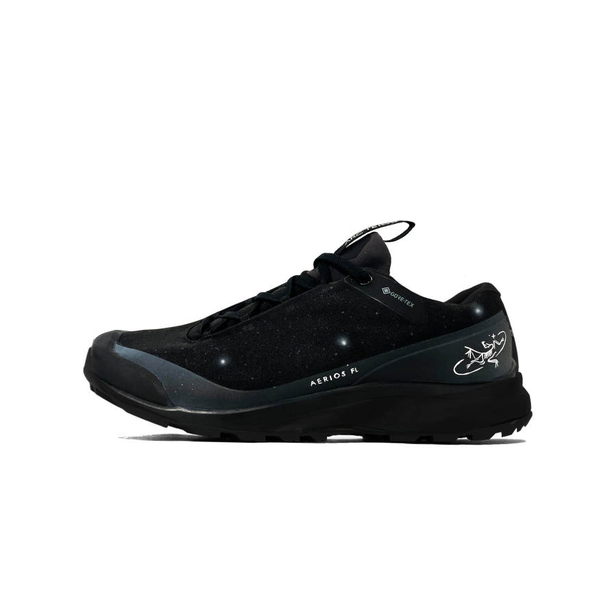 Arcteryx AERIOS FL Mountaineering & Hiking Shoes Men's Low Top Gray Blue