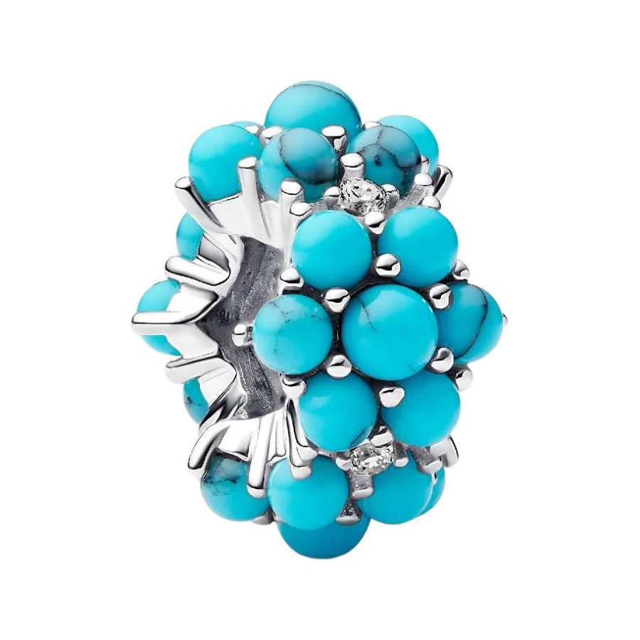 Pandora Charms & Pendants Women's