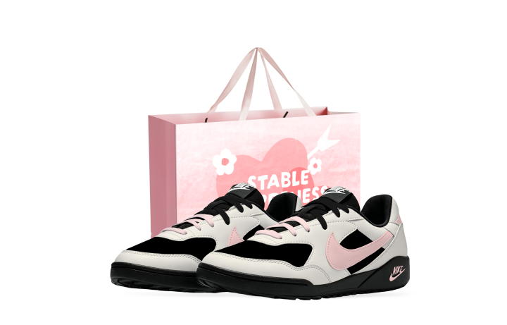Nike Nike Terra Manta Skateboard Shoes Women's Low Top White/Black/Pink