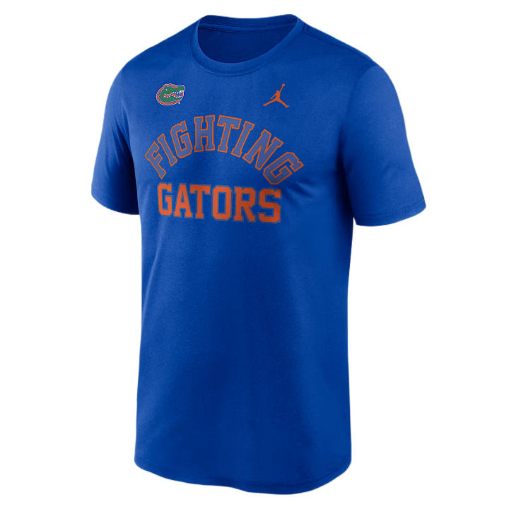 Jordan Jordan T Shirts Men's Royal Crew Neck Moderate