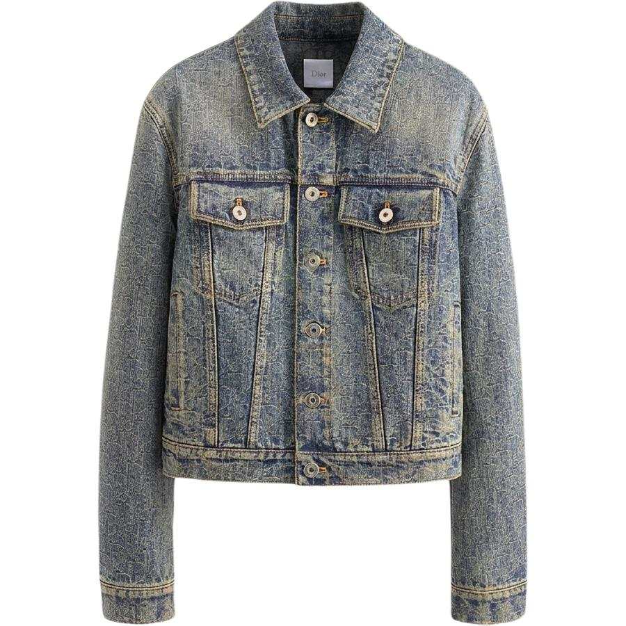 DIOR OBLIQUE Denim Jackets Women's Blue Lapel Moderate Straight Fit