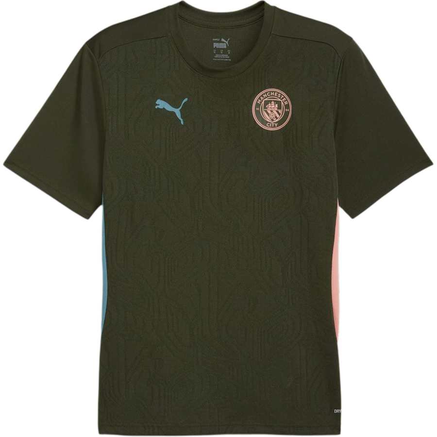PUMA Manchester City FW24 Soccer Jersey Men's Green