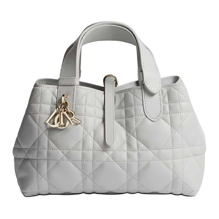 DIOR Toujours Cow Leather Handbag Small Women's Stone Rock Gray