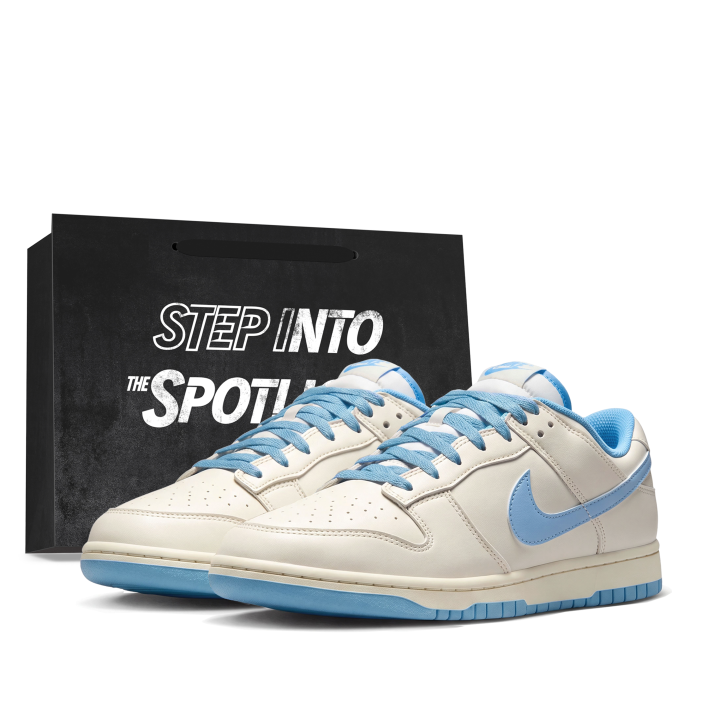 Nike Nike Dunk Skateboard Shoes Unisex Low Top Blue White