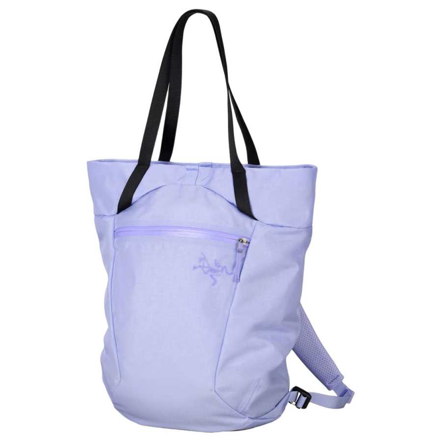 Arcteryx Arcteryx Backpacks Purple