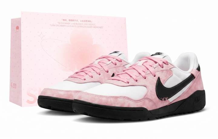 Nike Nike Terra Manta Casual Shoes Women's Low Top Pink