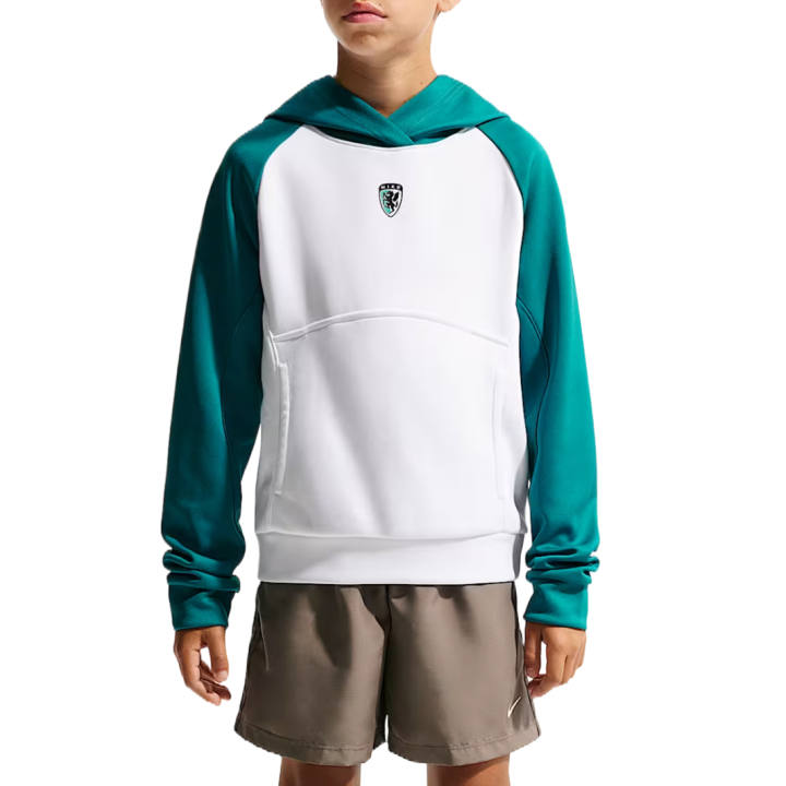 Nike Nike Kids Sweatshirts Hooded Non Detachable Moderate