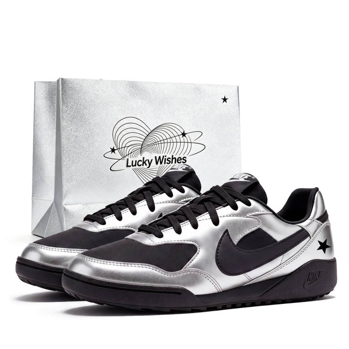 Nike Nike Terra Manta Casual Shoes Women's Low Top Black Silver