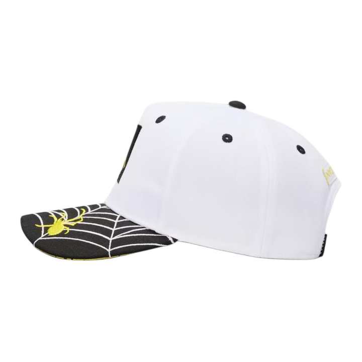 Jordan Jordan Baseball Caps Kids