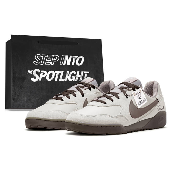 Nike Nike Terra Manta Casual Shoes Men's Low Top Gray Brown