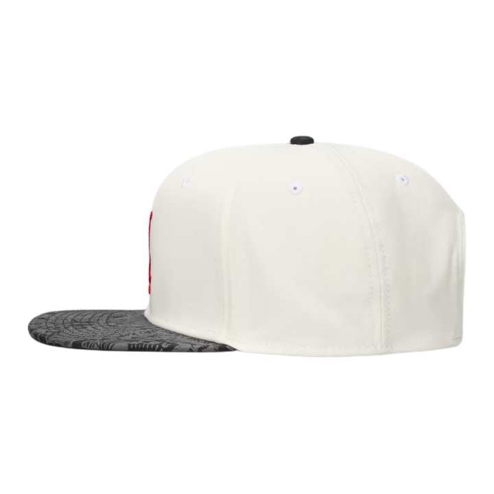 Jordan Jordan Baseball Caps Unisex