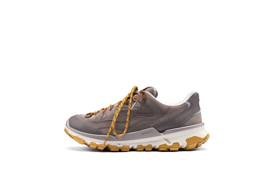 Ecco Ecco BIOM 2.2 TRL Outdoor Shoes Men's Low Top Feather Umber