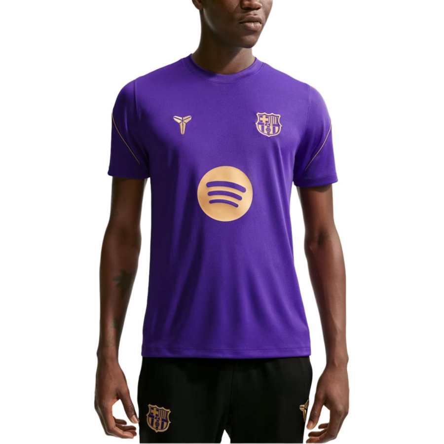 Nike Nike X FC Barcelona Soccer Jerseys Men's Purple Crew Neck Moderate