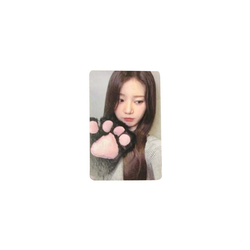 YG ENTERTAINMENT BABYMONSTER YG Rose Day, Cat Paw, Quick Flash Photocards 1 Pc